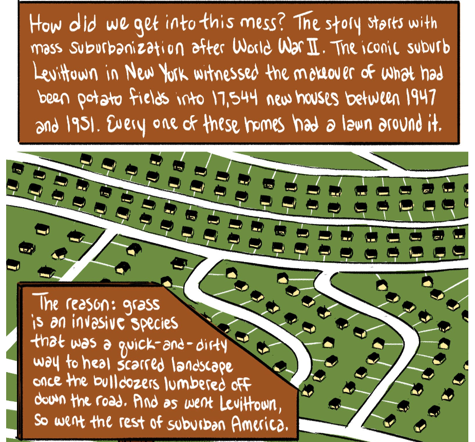 Firefox_Screenshot_2017-05-31T19-48-07.200Z