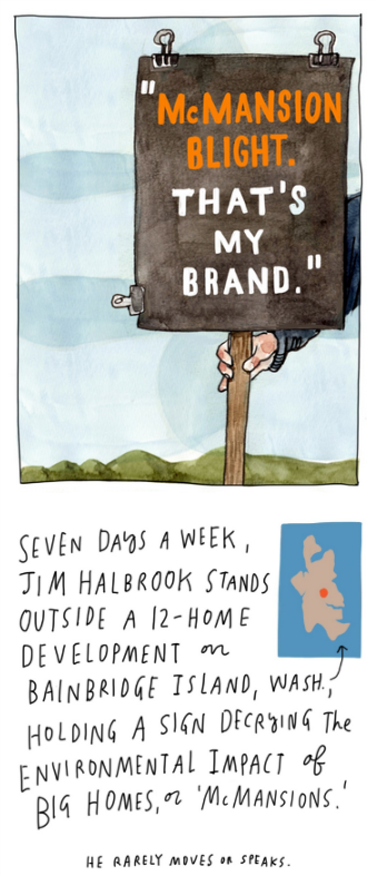 McMansionProtestStoryStart