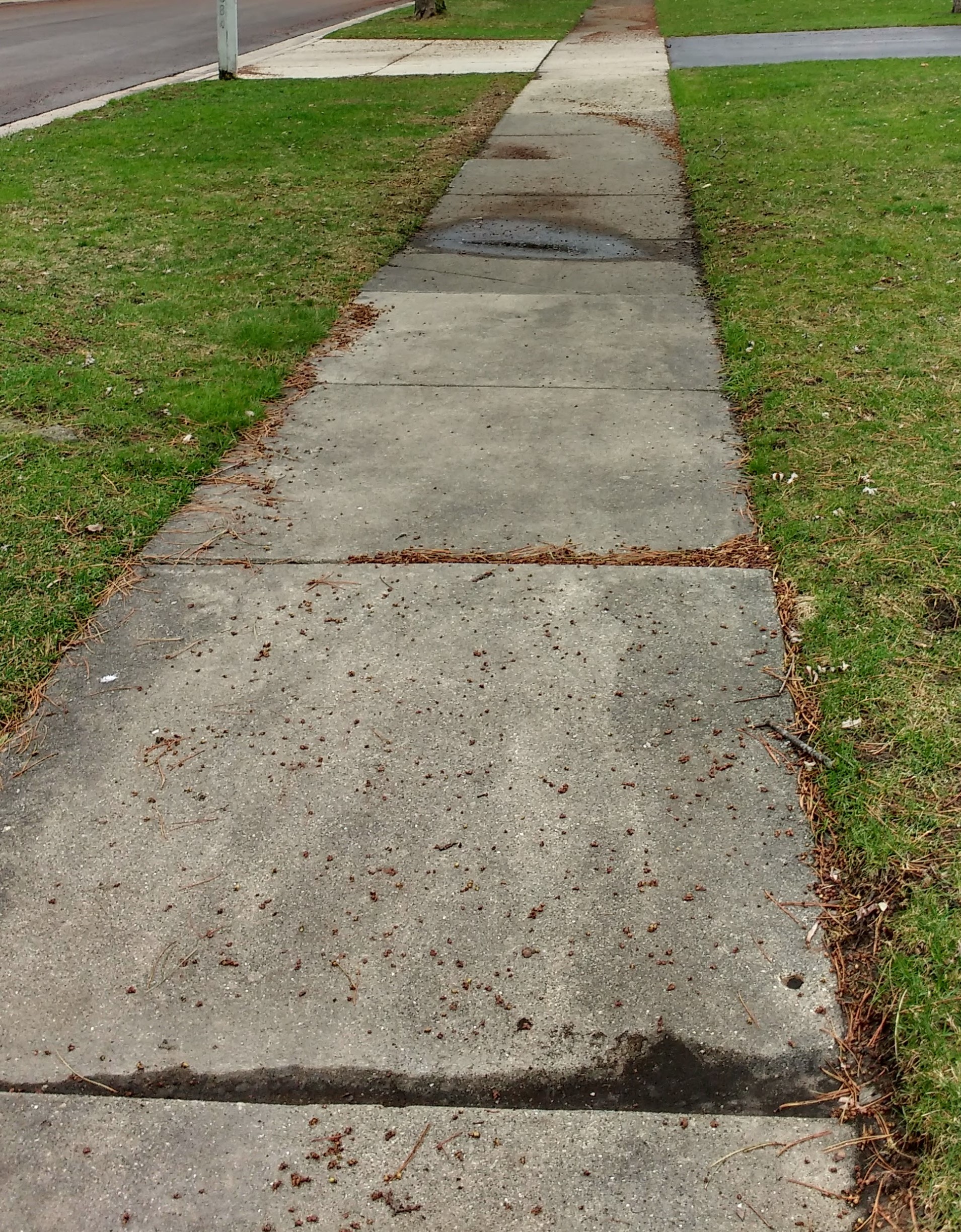 SidewalkResidential